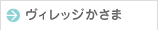 ヴィレッジかさま