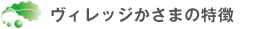 特別養護老人ホームヴィレッジかさまの特徴