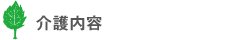 特別養護老人ホームヴィレッジみとの介護内容